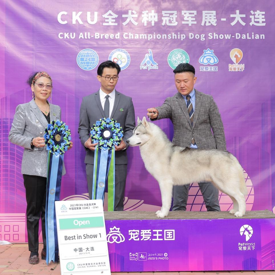 京狼图腾宠物生活馆