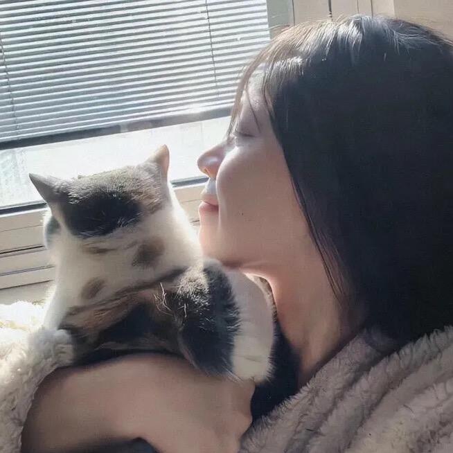 小巷🦢