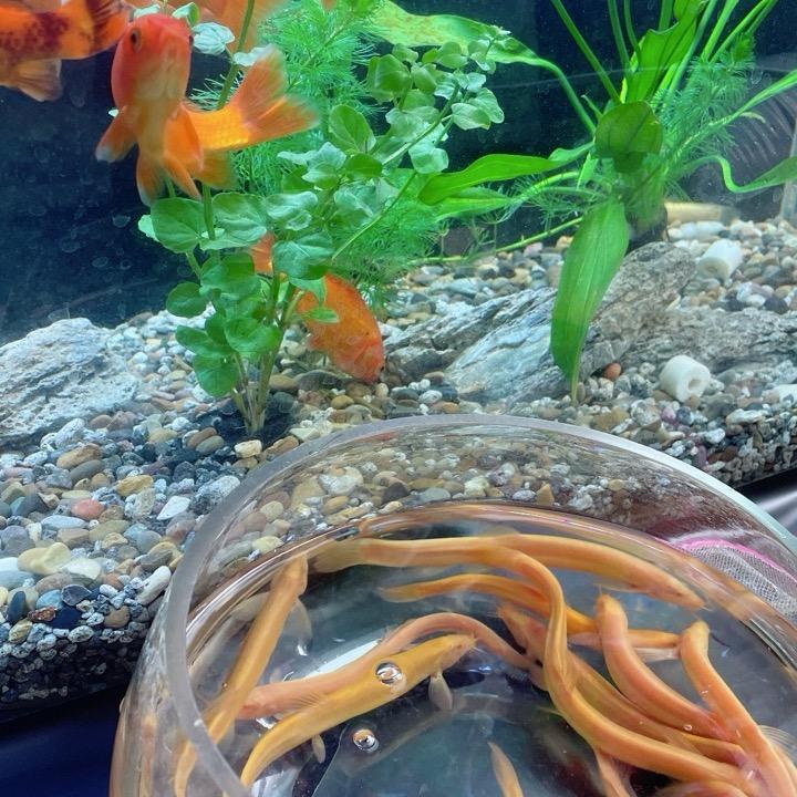 易养渔业新鲜水产好货店