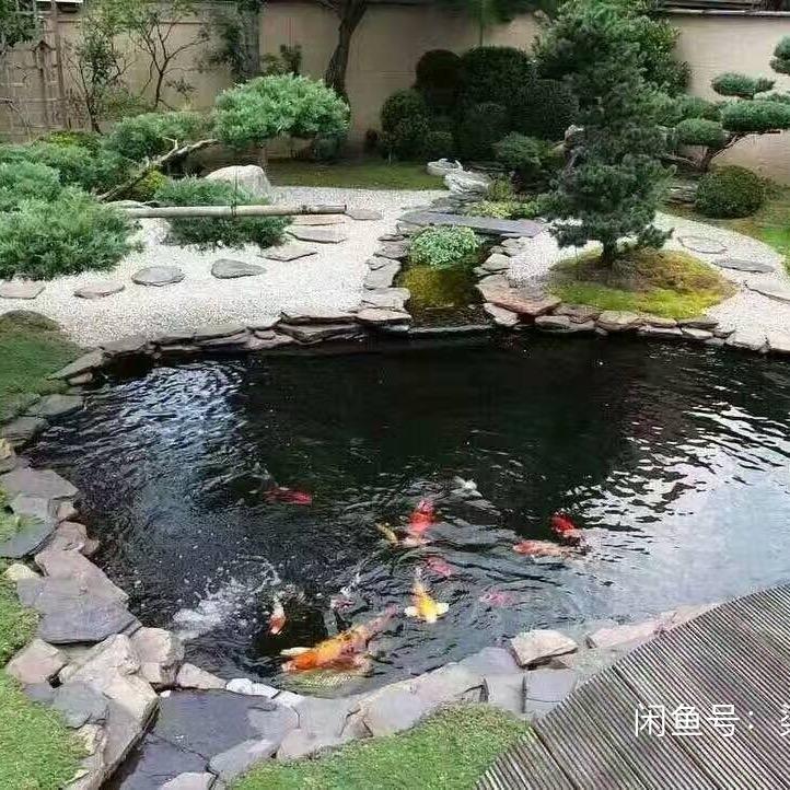 加菲猫的🐠
