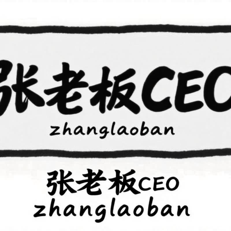 张老板CEO