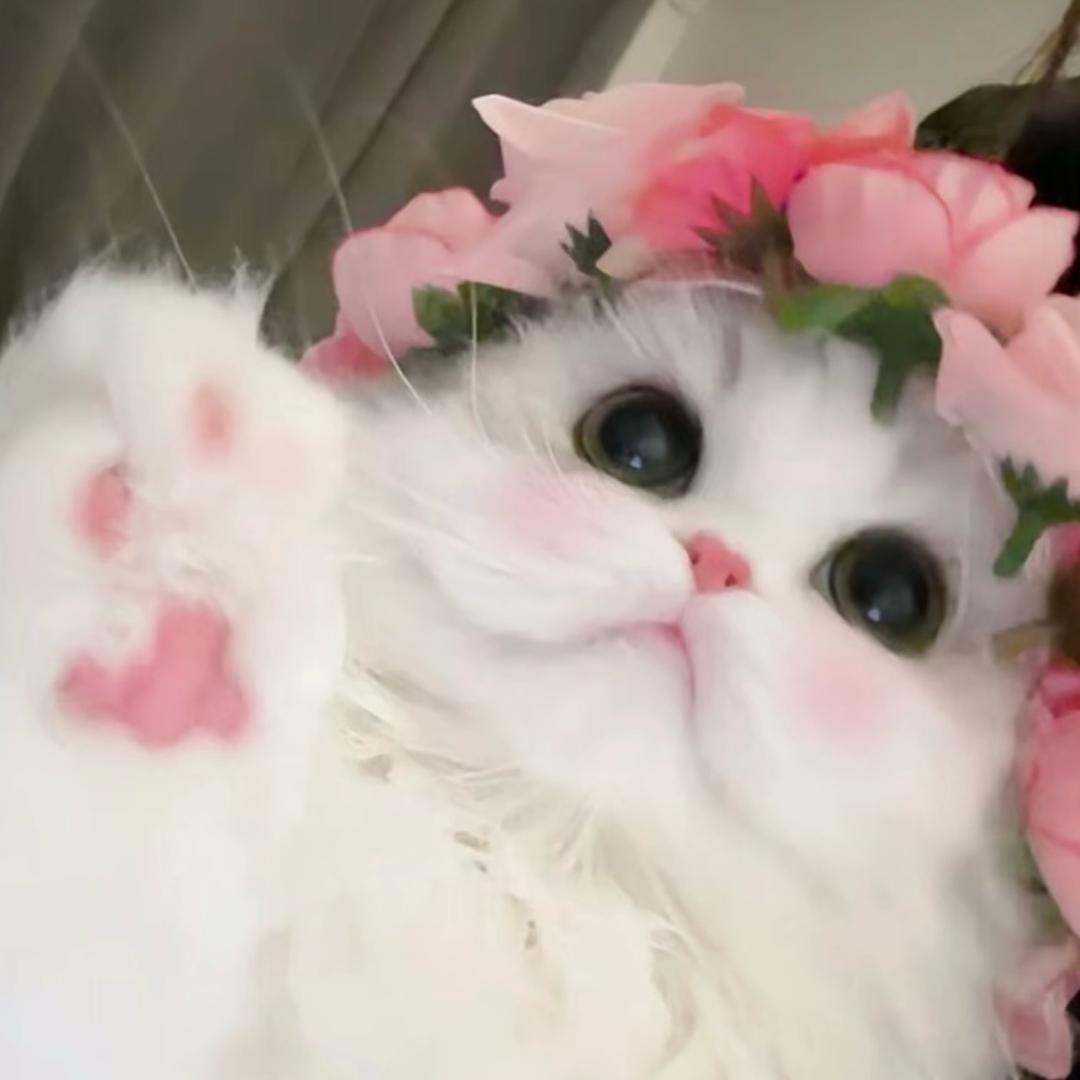 糖糖🍬