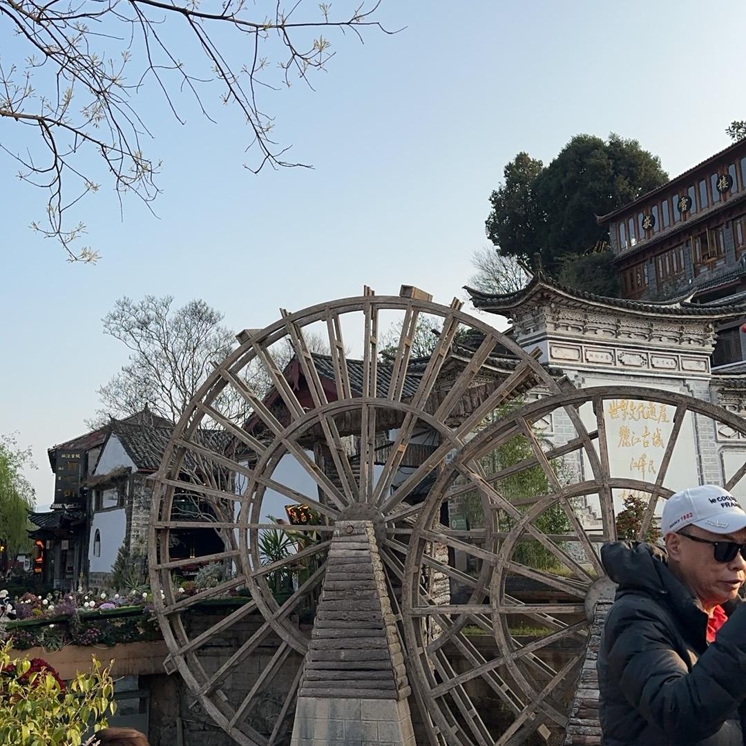 三宝打底裤（细条纹）