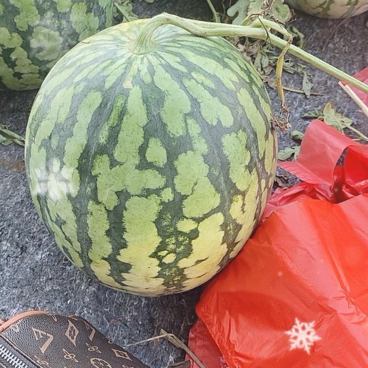 红姐说媒