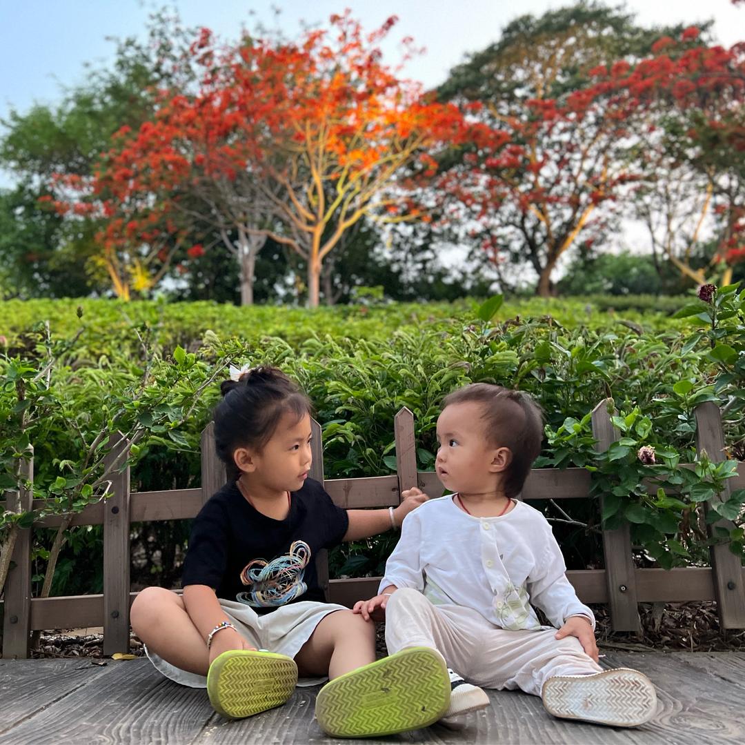 我拿流年乱了浮生🔰