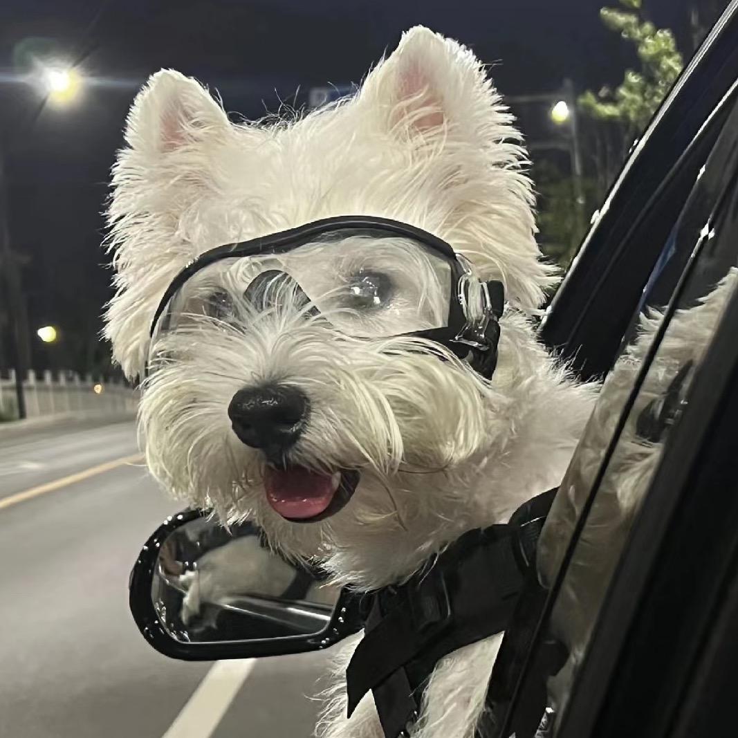 双下巴真可爱a：