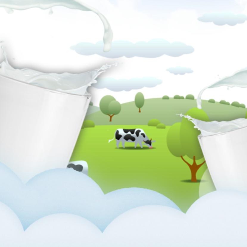 赵小胖全脂奶粉店