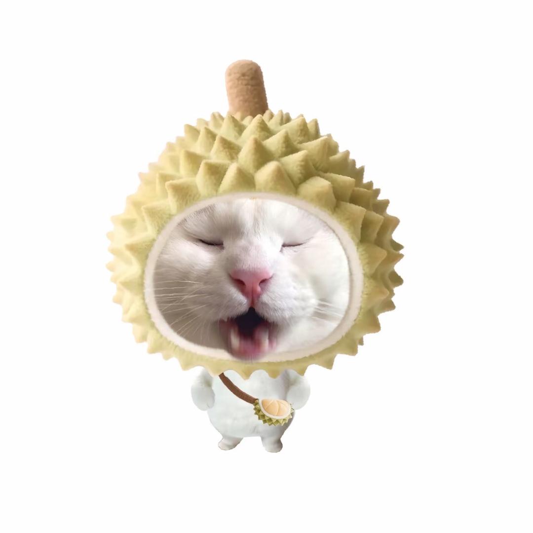 𝙯ᙆ.