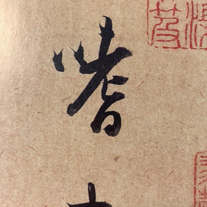 一家老虫