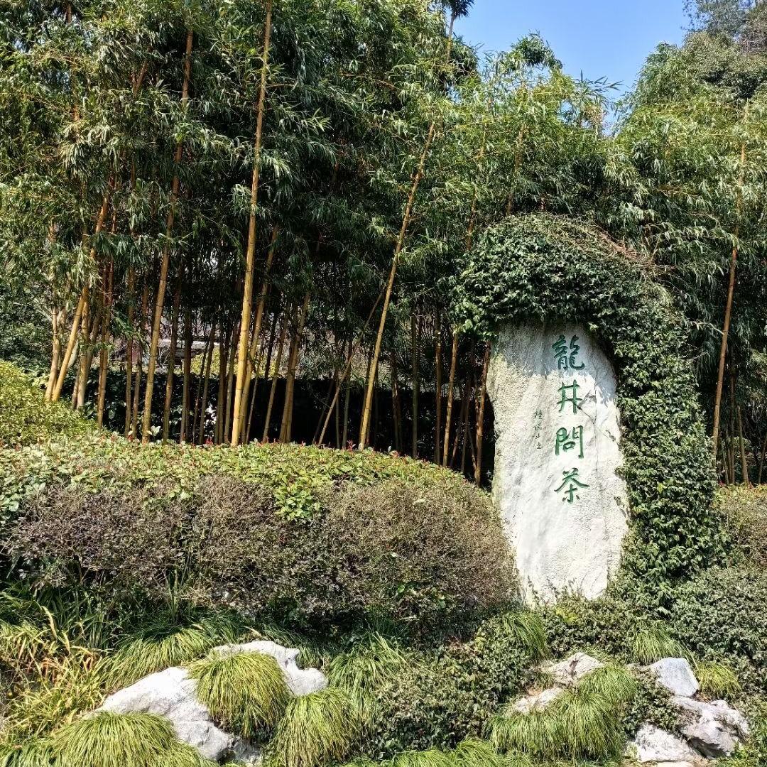 小茶童绿茶铺