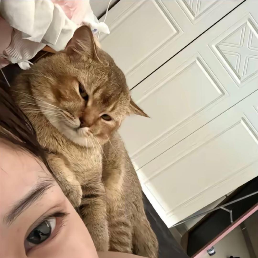 女友跟小三跑了