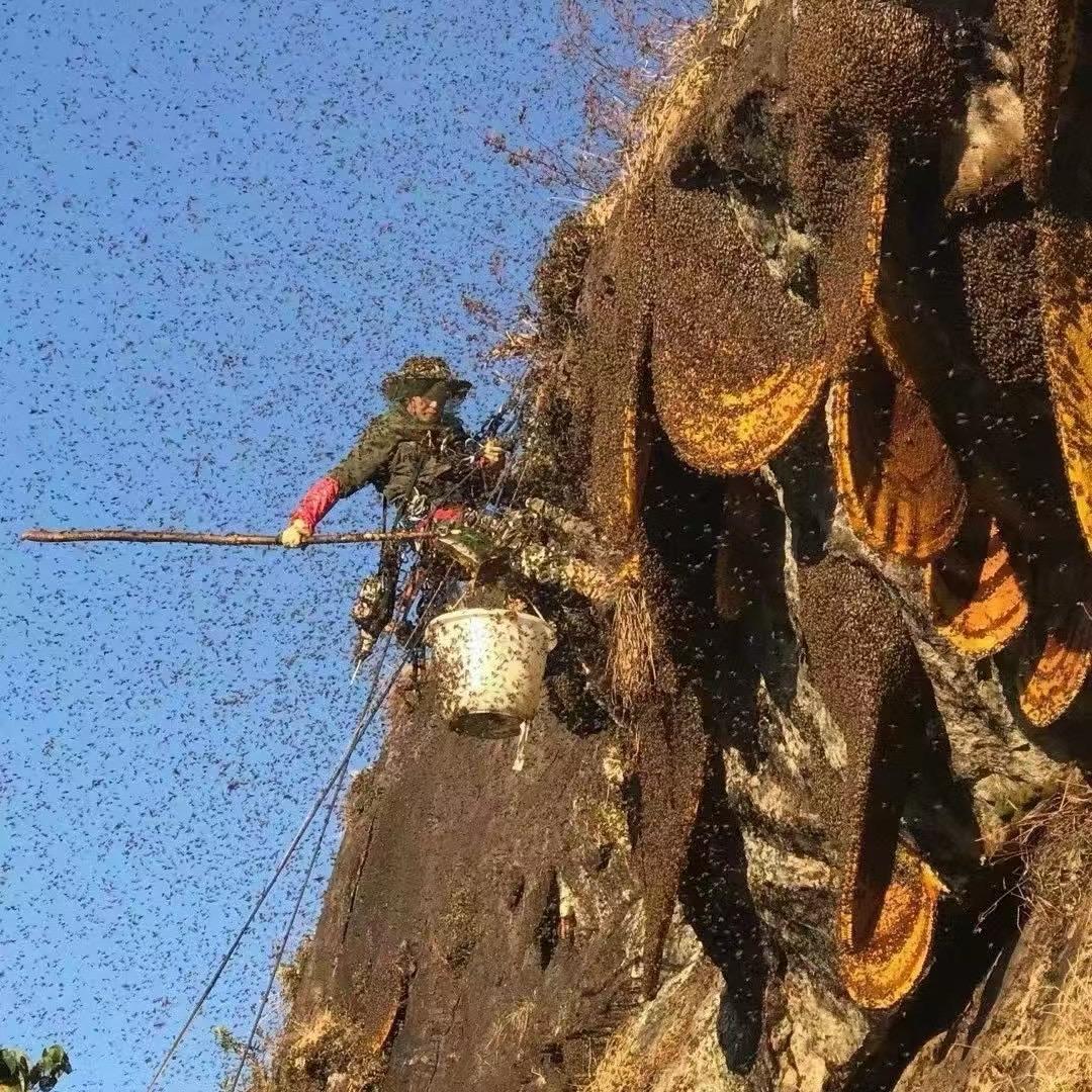 澜山谷蜂蜜Honey