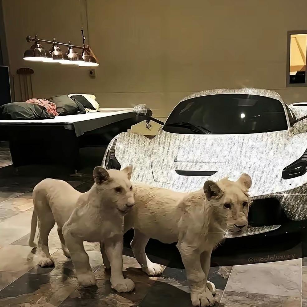 你月佥好大哦(增肌版)