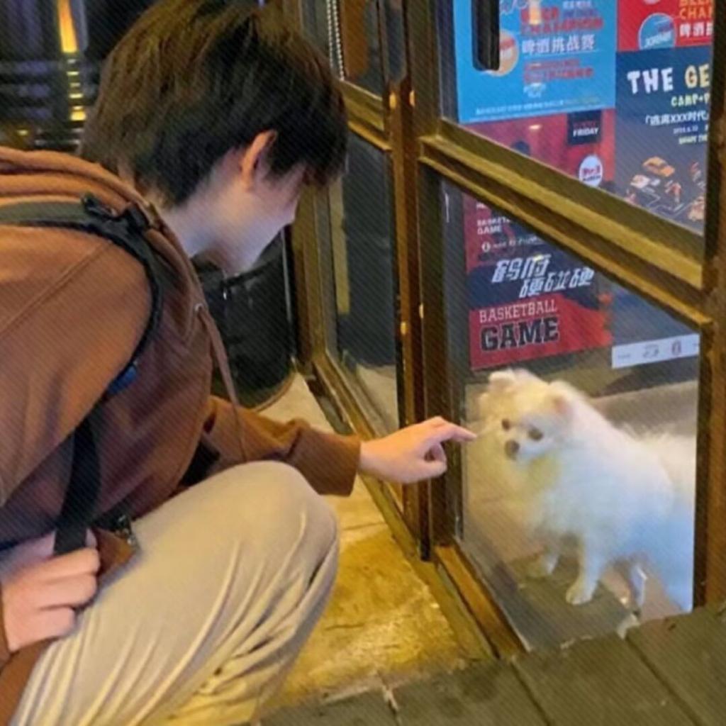 风不是风