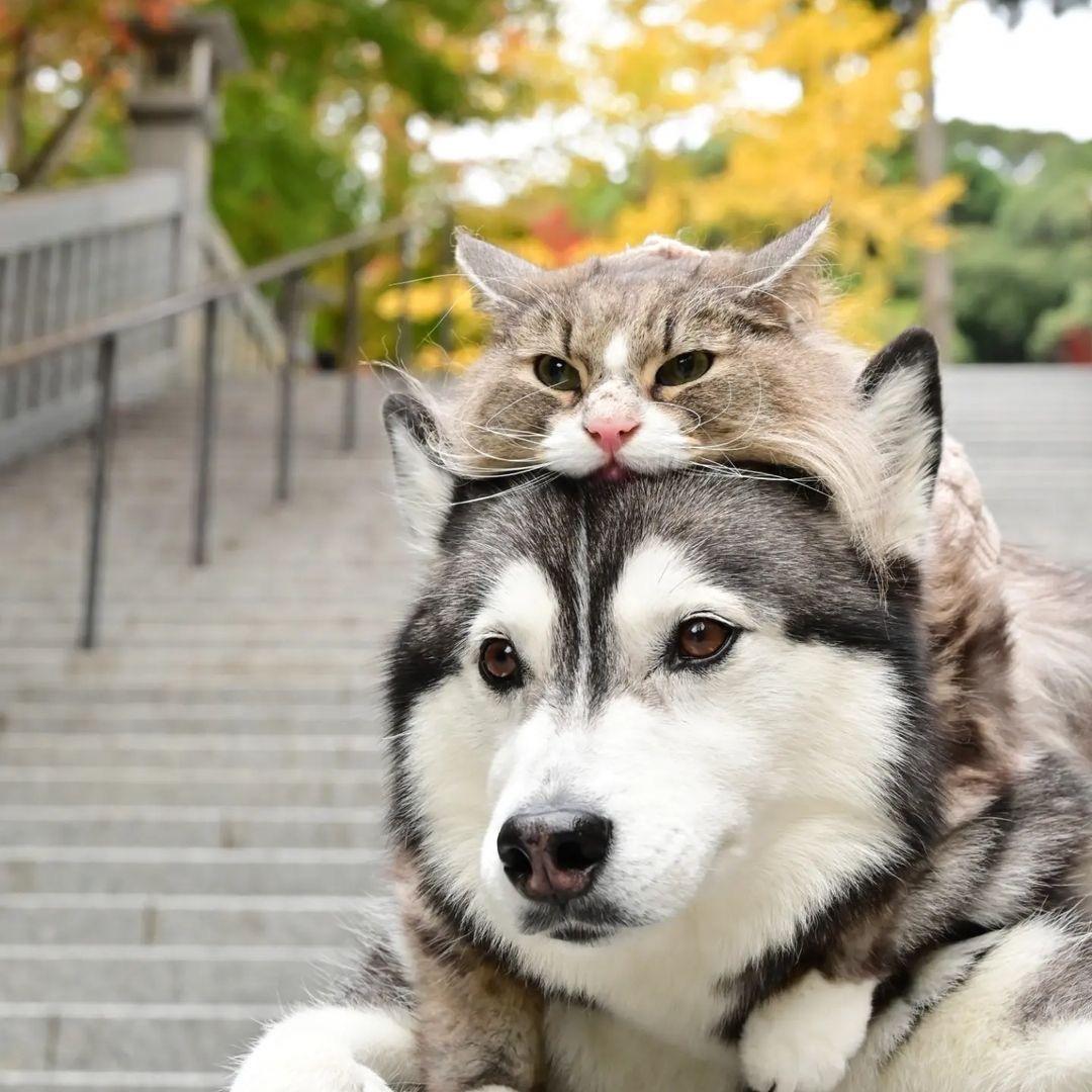 小心站台间隙❗️