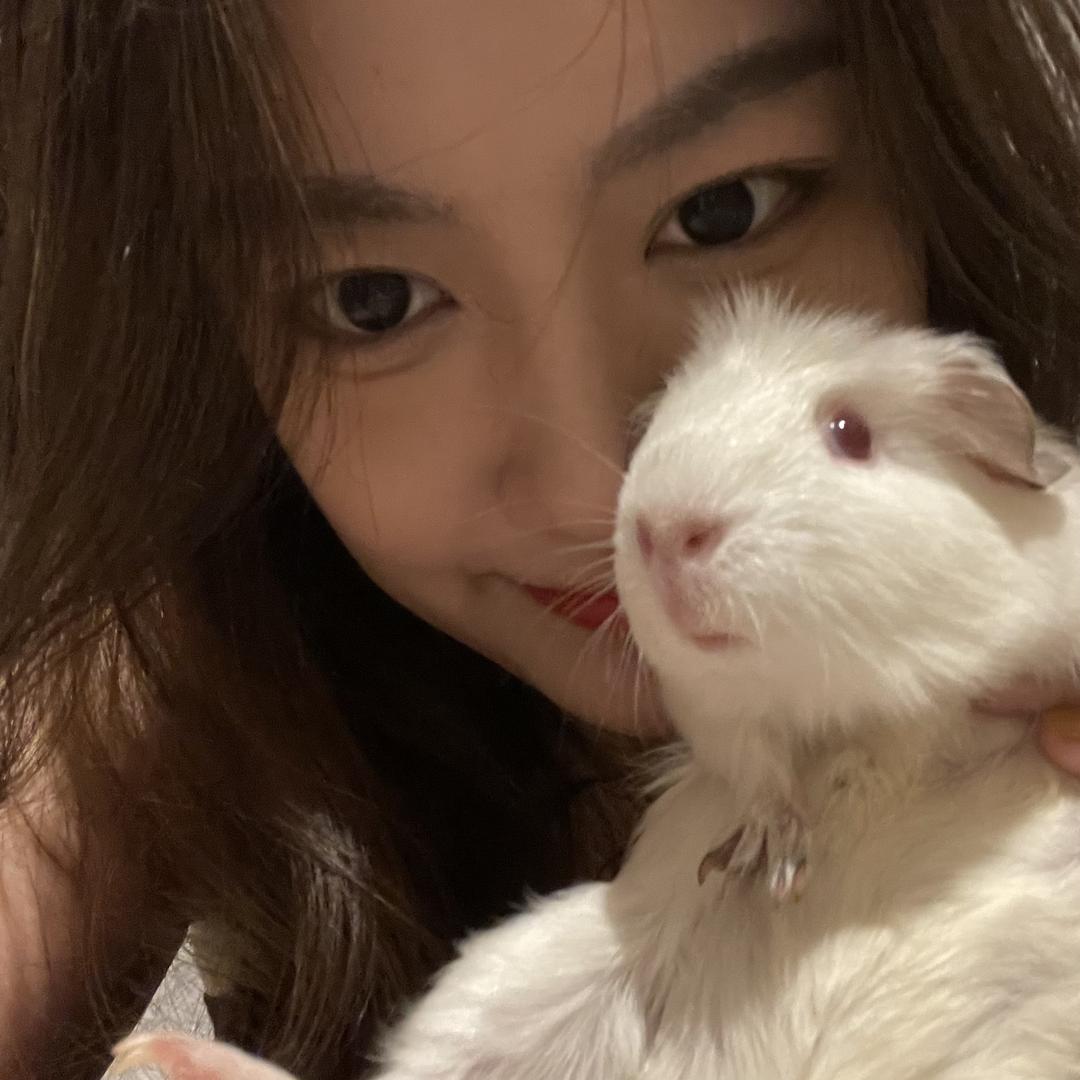 我是小鹿（努力版）