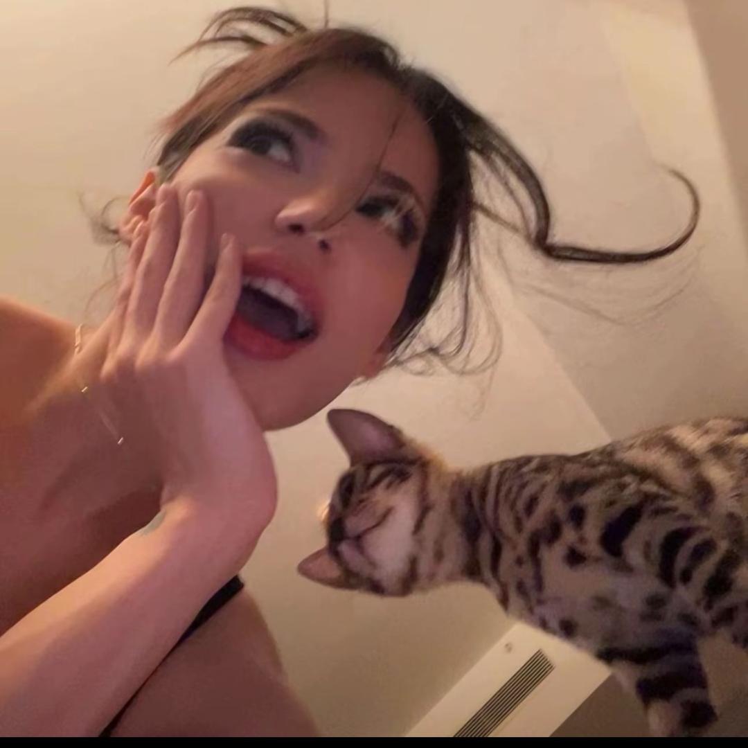 发财猪