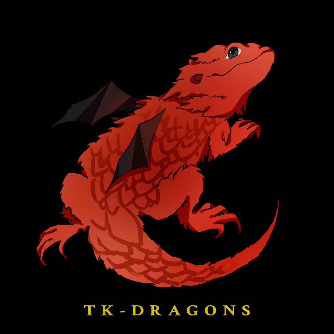 爪巴爪巴TKdragons鬃狮蜥