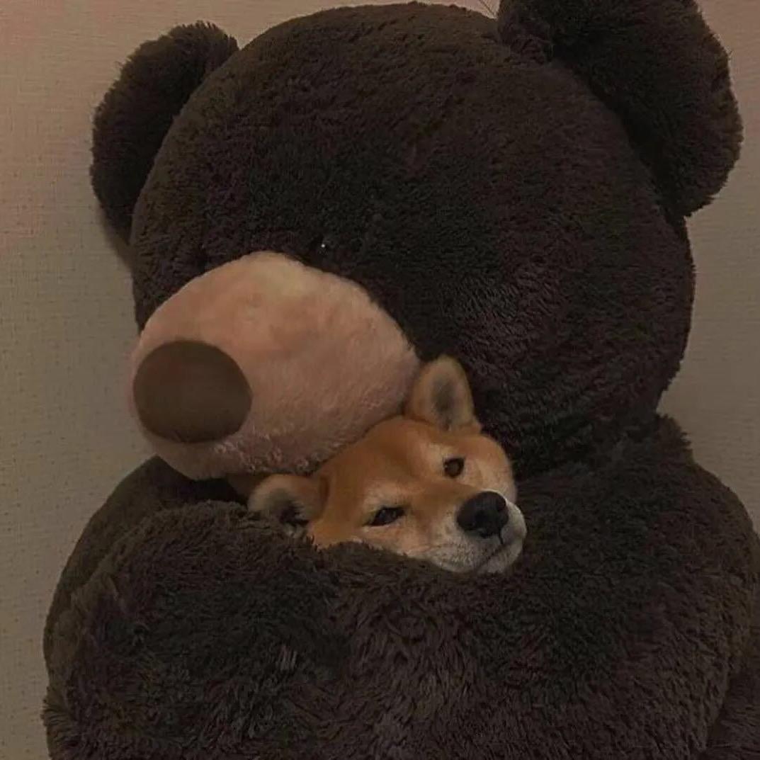 陳NN.