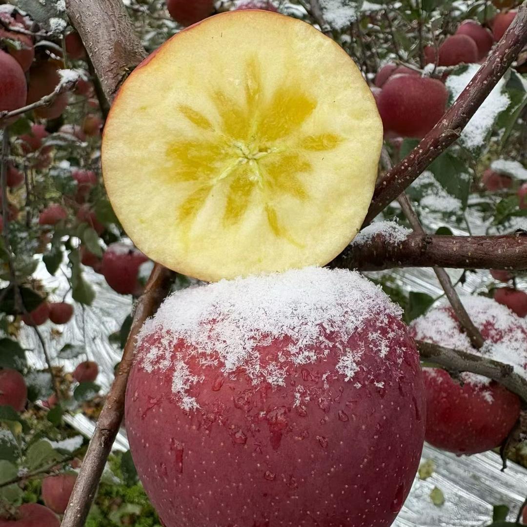 大美家的果园(昭通冰糖心丑苹果）