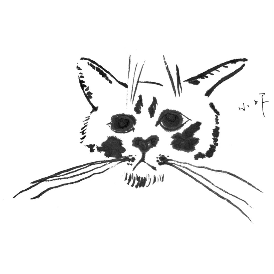 不⁴小哭包( ᵒ̴̶̷̤໐ᵒ̴̶̷̤ )