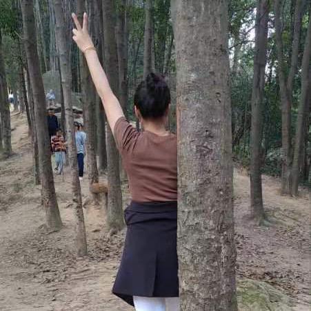 什么风把你吹来了