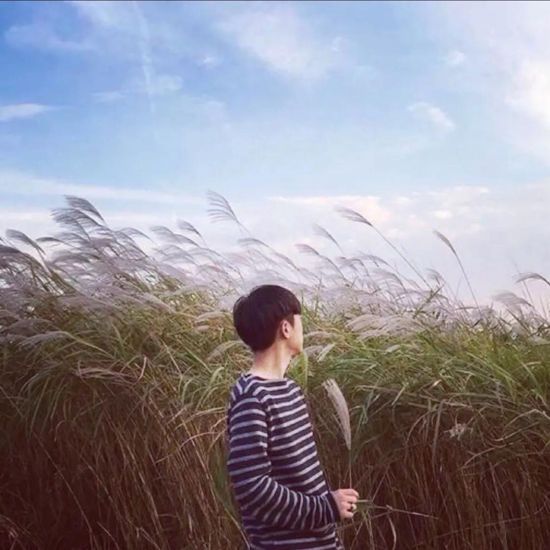 ✨           词旧·