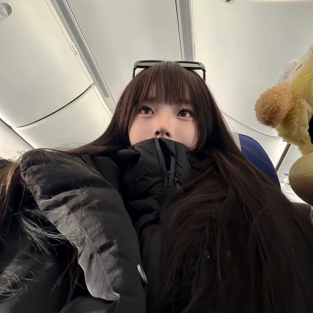 巷子里的狸花猫