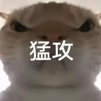 一只猛攻的鼠鼠