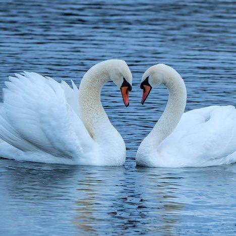 昌吉市贾世拌面馆