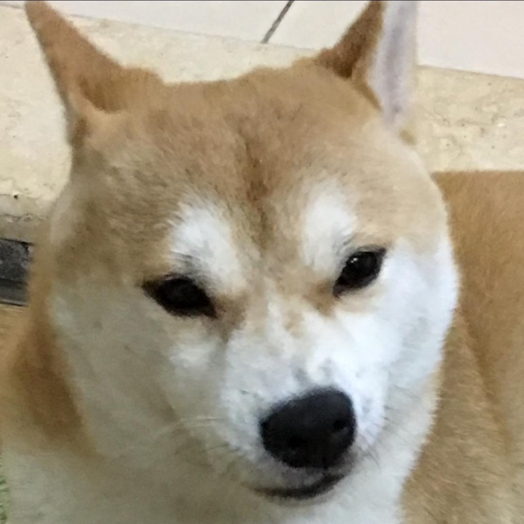 Becky_Zou头像