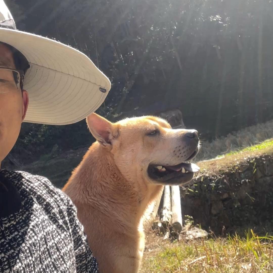 守山居｜大黄和小黄
