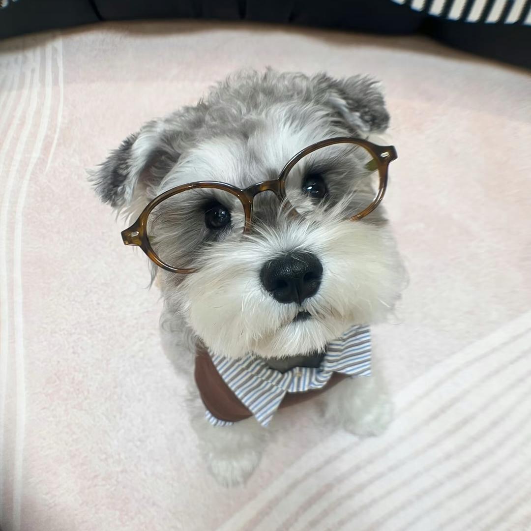 糊涂鬼
