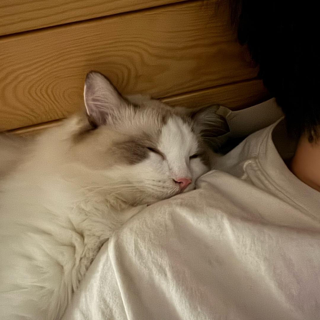 好运常在oe