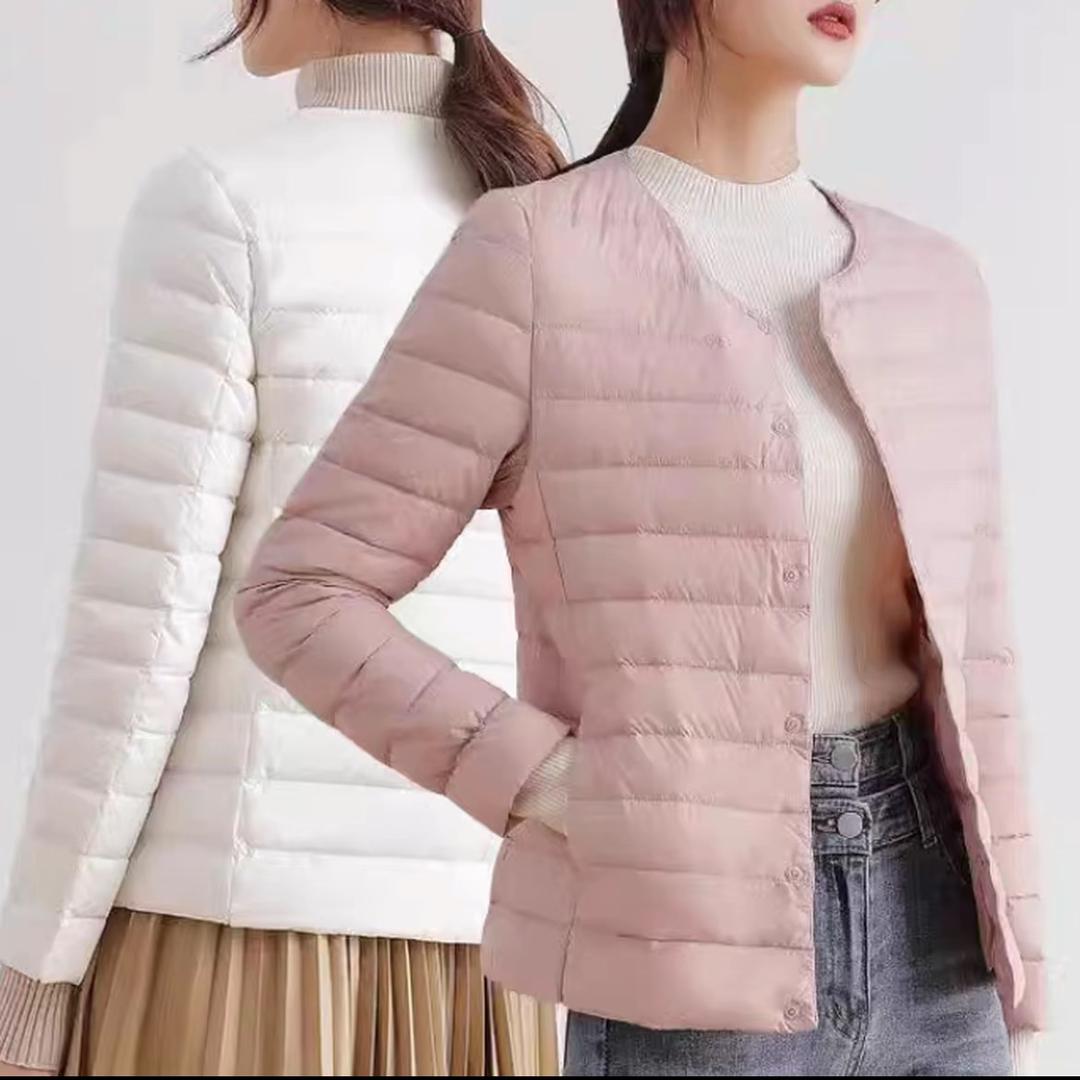 迷雾迷雾迷了路