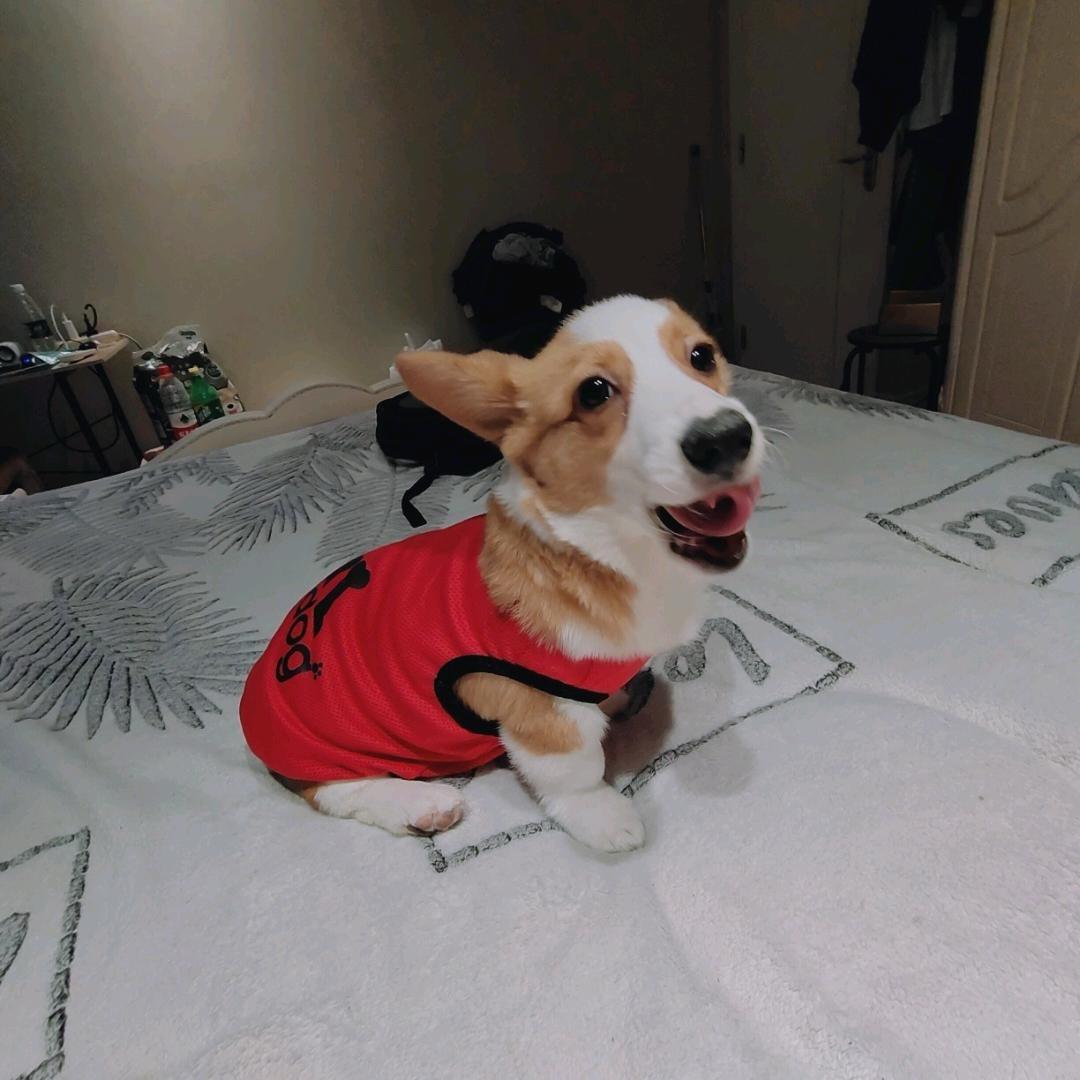 太一她亲爹