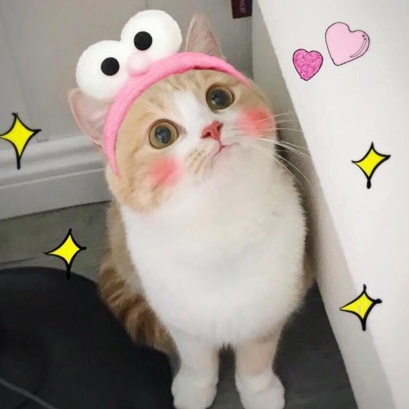 NLF小枫