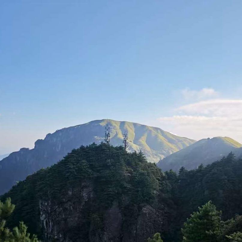 浅浅