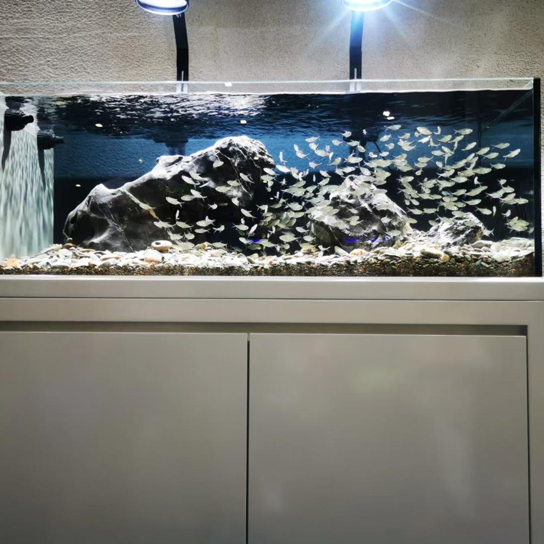 金晶五线超白缸工厂