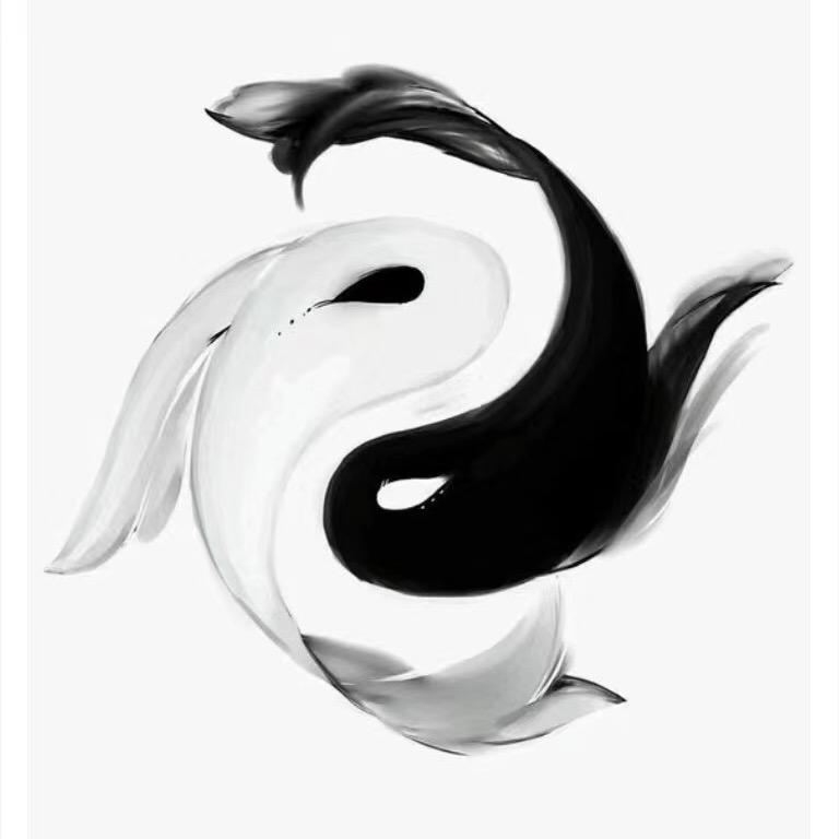 大成运动
