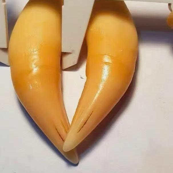 孤心守护
