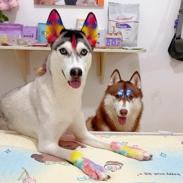 哈哈，恶霸