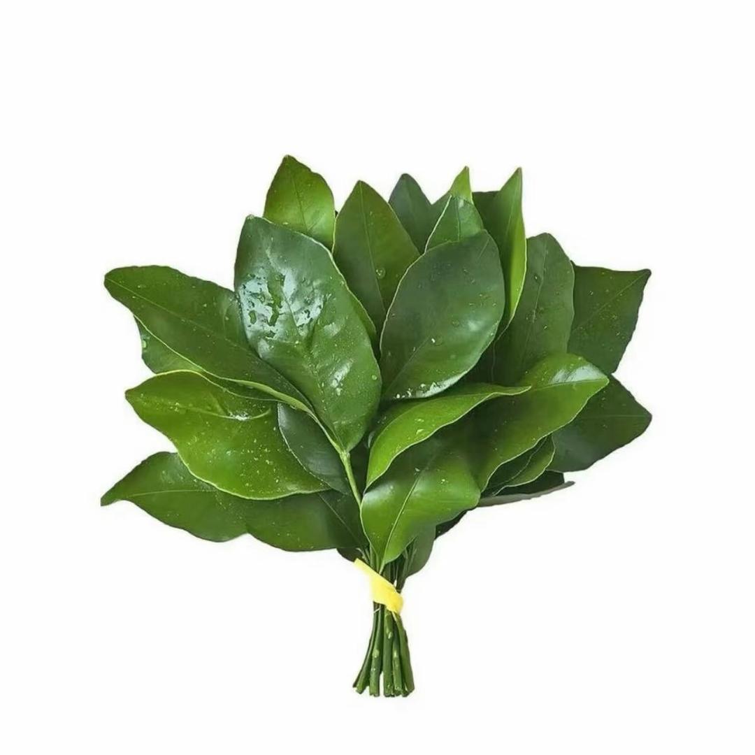 小鱼海棠 （努力中）