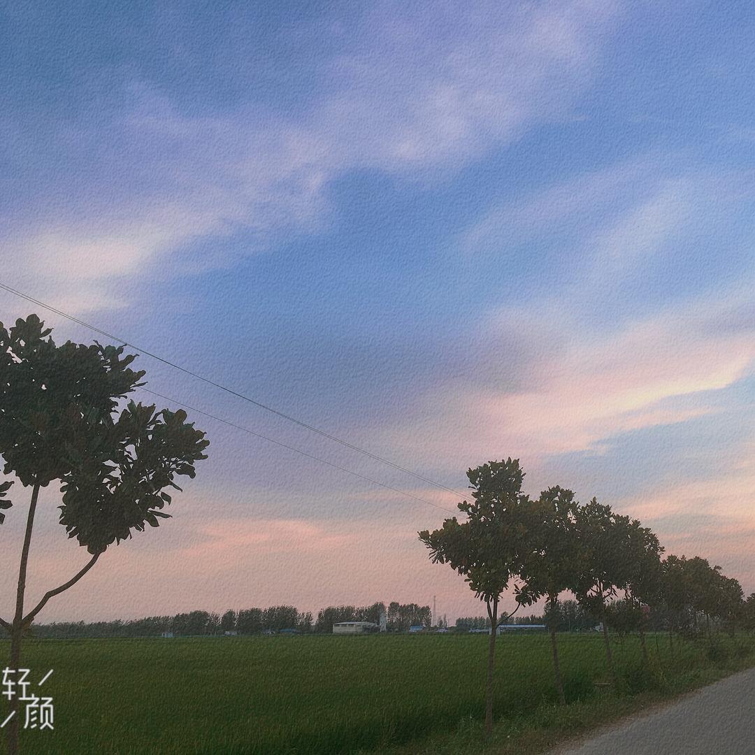 鲲