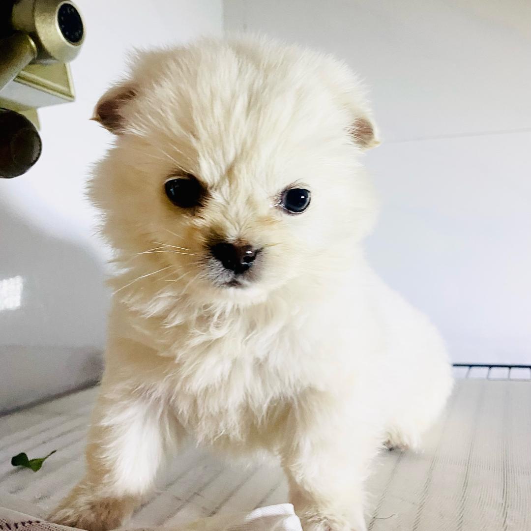 感恩