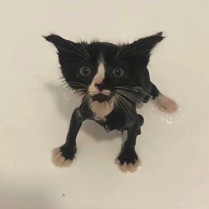 九九（剪辑老师）