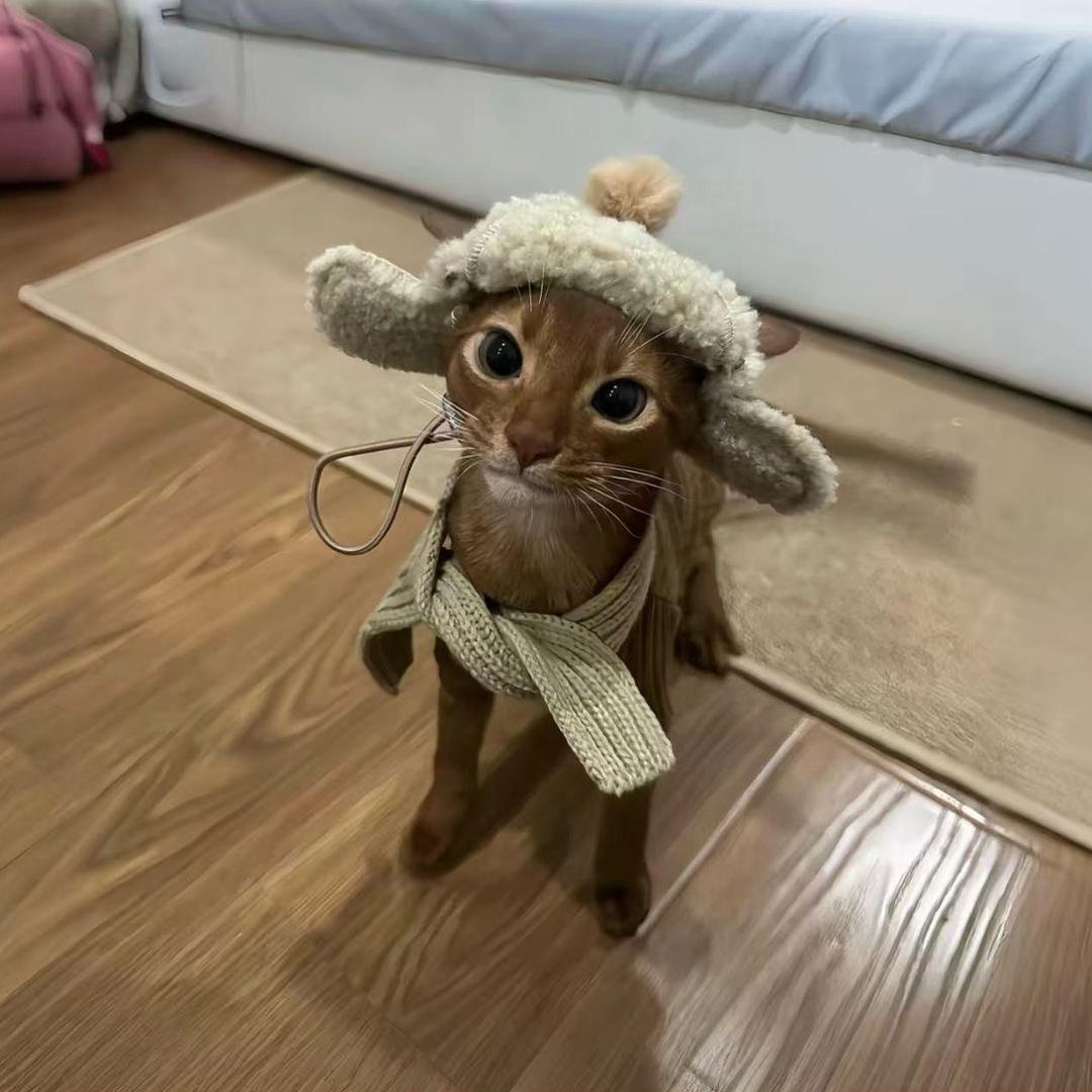 江上