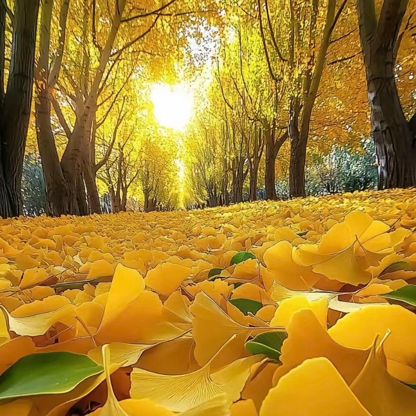 往后余生都是幸运