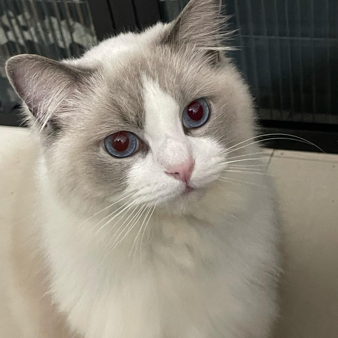 顺手牵圆