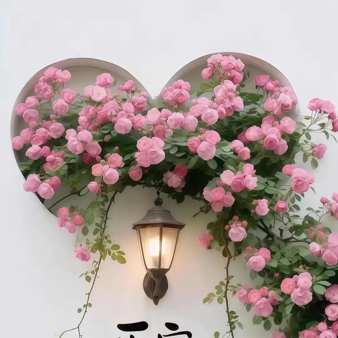 豆豆麻麻🌸